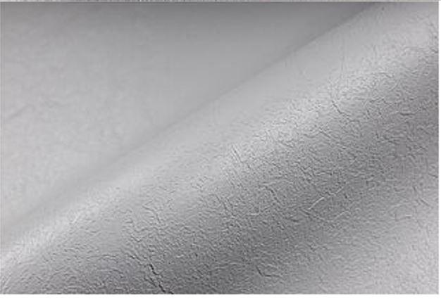 81116706F_295961_RELIEF_gris_clair.JPG